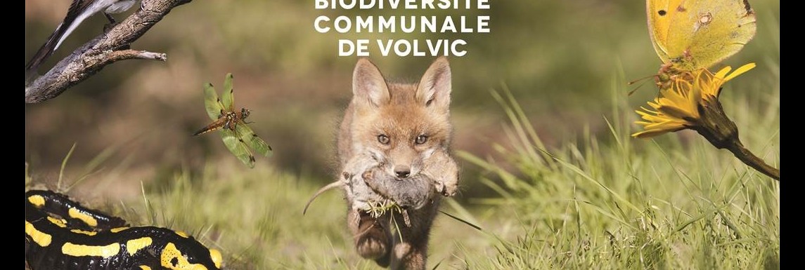 ABC - Ville de Volvic ABC - Ville de Volvic