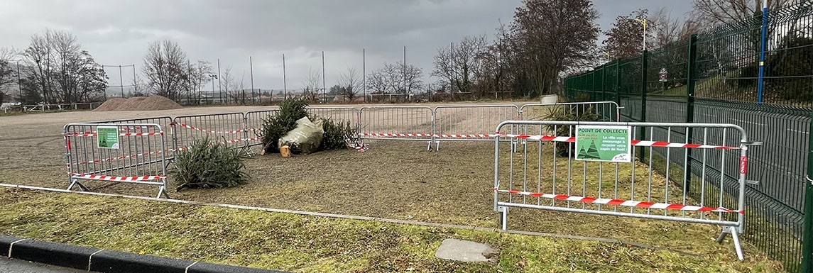 point de collecte sapins