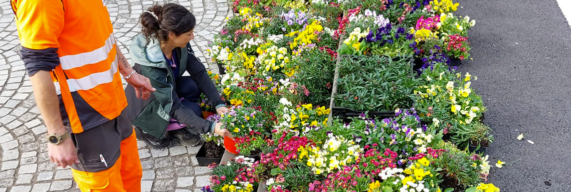 Marché de printemps des ST Espaces Verts 26 avril Place de l'église