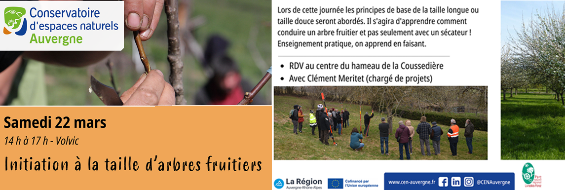 Initiation à la taille d'arbres fruitiers 2025