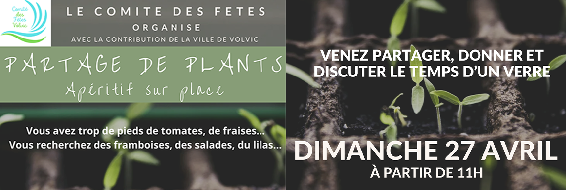 Partage de plants Comité des Fêtes