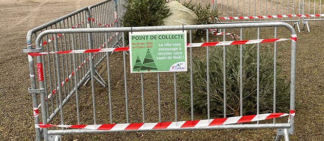 point de collecte sapins