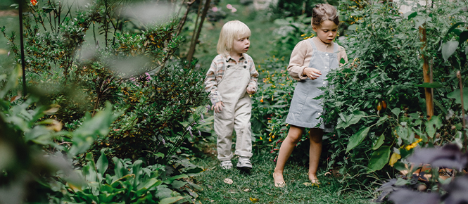 Location de jardins familiaux - Ville de Volvic