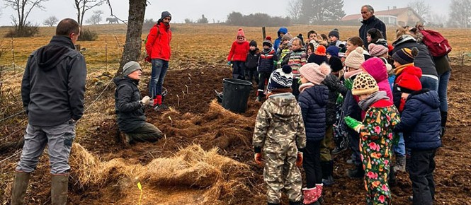 plantation haie
