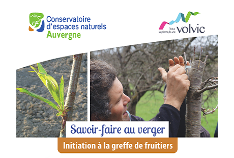 Atelier greffe