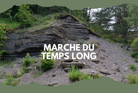 Marche du temps long - Les Colibris des Sources