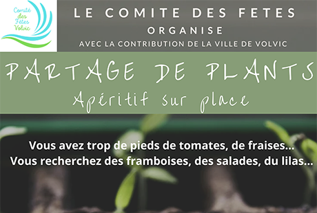 Partage de plants Comité des Fêtes